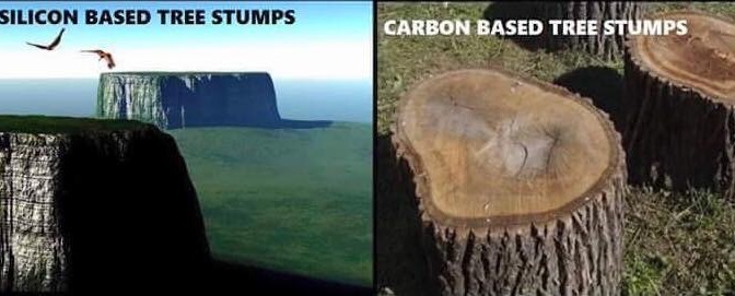 GIANT TREES BEFORE THE FLOOD! No Trees on Flat Earth-Biblical Perspective 